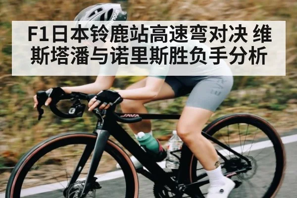 F1日本铃鹿站高速弯对决 维斯塔潘与诺里斯胜负手分析